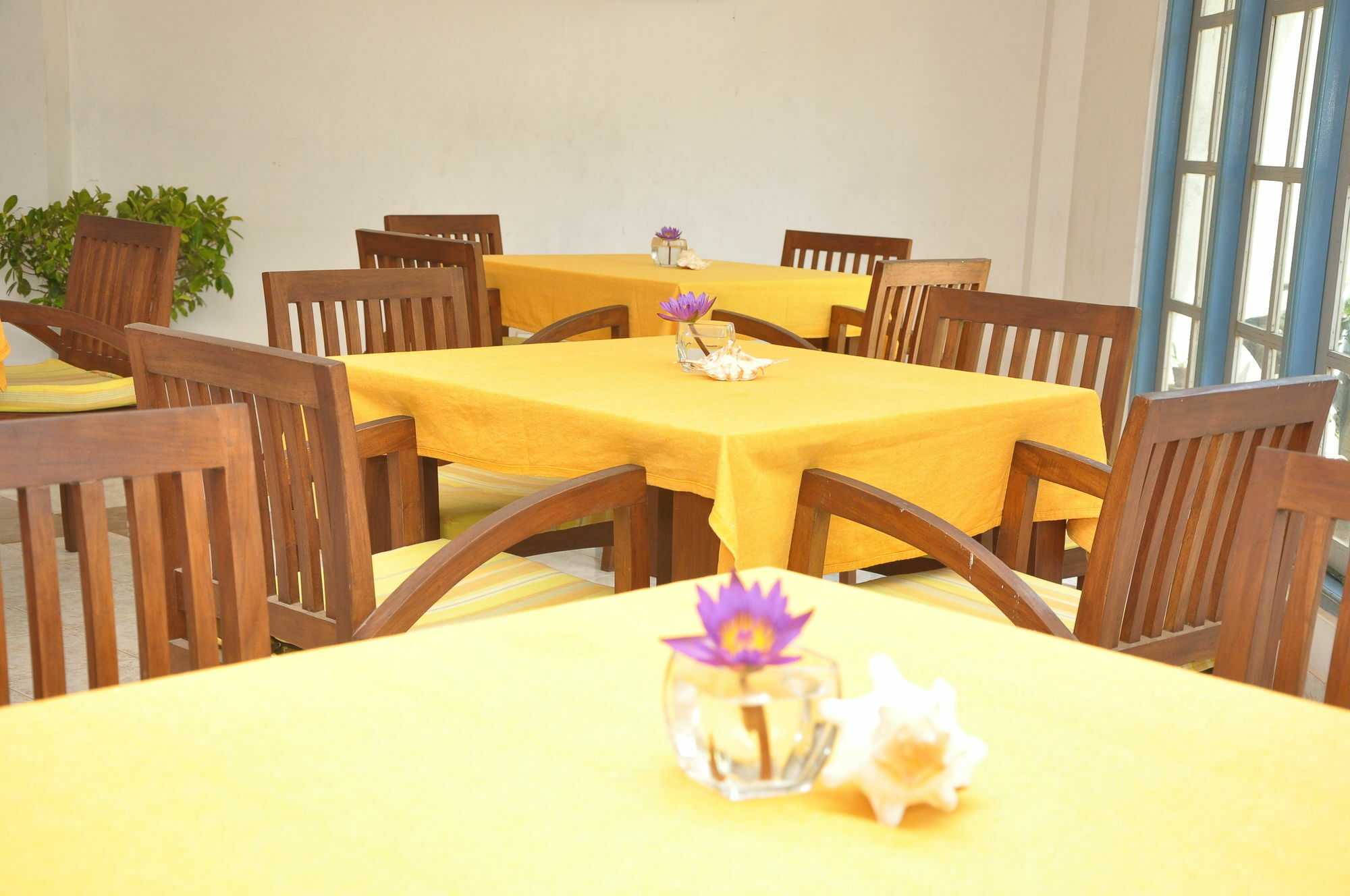 Mountbaylk Hotell Dehiwala-Mount Lavinia Eksteriør bilde